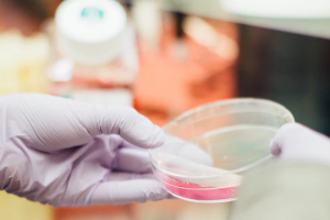 Decorative photo of person holding petri dish