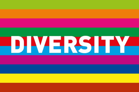 Diversity 2020
