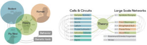 Graphic illustrating research in CRC 1315