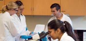 Decorative photo of scientists in lab