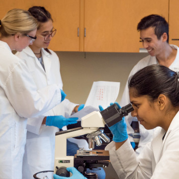 Decorative photo of scientists in lab