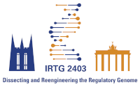 Logo IRTG 2403