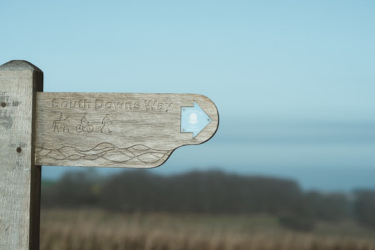 Decorative photo of guide post