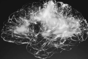 Decorative black and white photo of brain structure