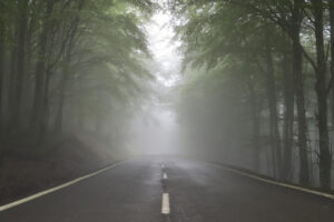 decorative photo of misty street