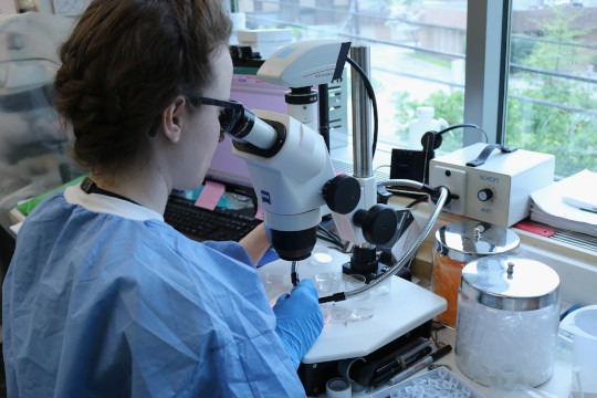 decorative photo of scientist at work