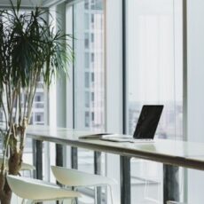 Workshop: How to Get Into the German Job Market