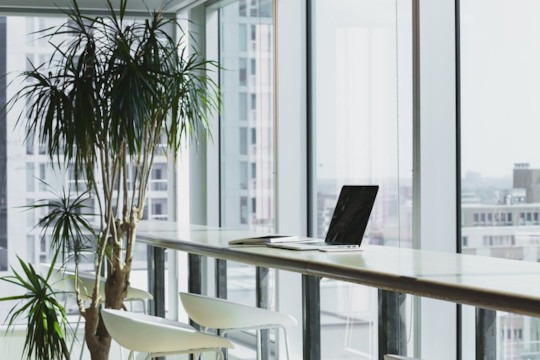 Workshop: How to Get Into the German Job Market
