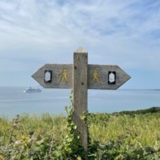Leaving or Staying? Exploring Career Options and Support for Researchers at Risk