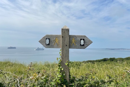Leaving or Staying? Exploring Career Options and Support for Researchers at Risk