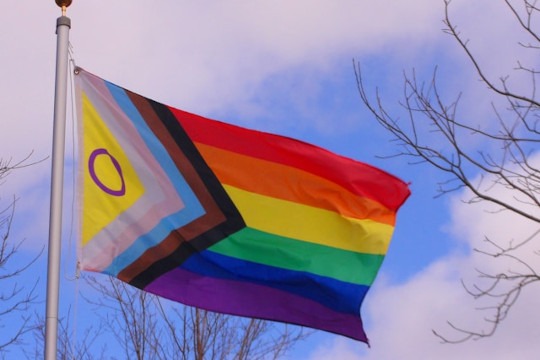 QueerNetwork Charité