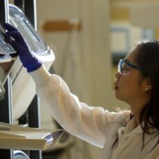 Charité Mentoring Program for Women Scientists