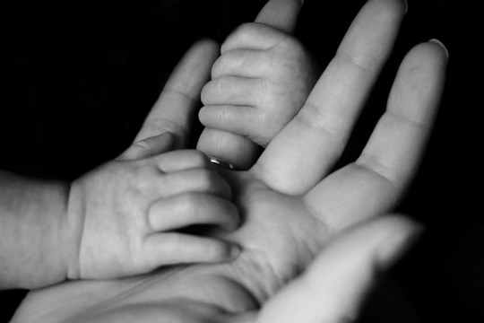 Decorative photo of a baby's fingers holding hand