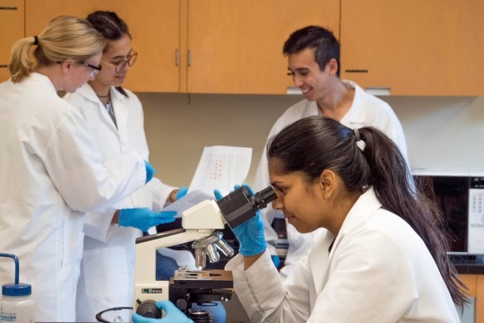 Photo of group of scientists in a lab